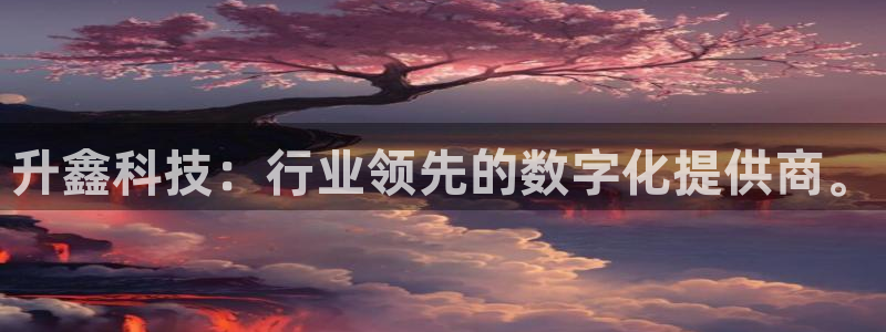 升鑫科技：行业领先的数字化提供商。