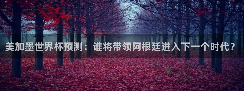 美加墨世界杯预测：谁将带领阿根廷进入下一个时代？