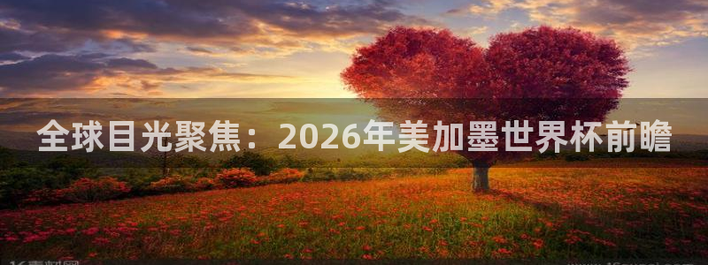 全球目光聚焦：2026年美加墨世界杯前瞻