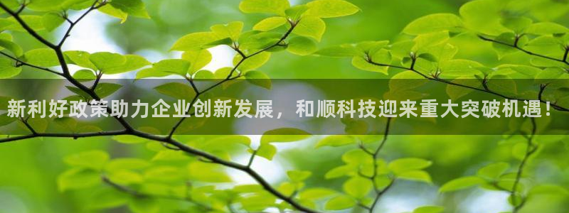 新利好政策助力企业创新发展，和顺科技迎来重大突破机遇！