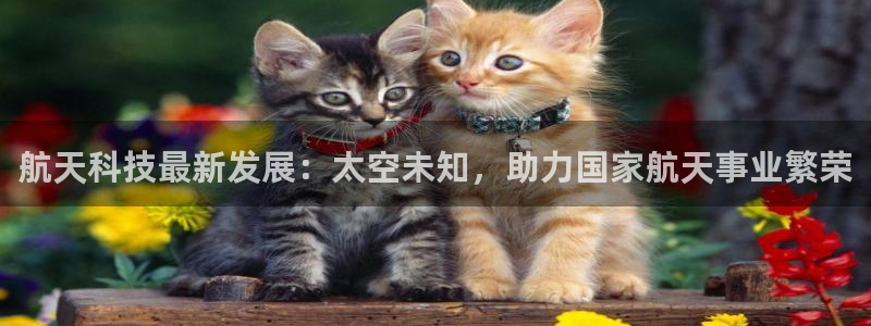 航天科技最新发展：太空未知，助力国家航天事业繁荣