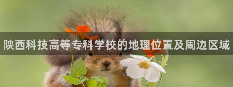 陕西科技高等专科学校的地理位置及周边区域