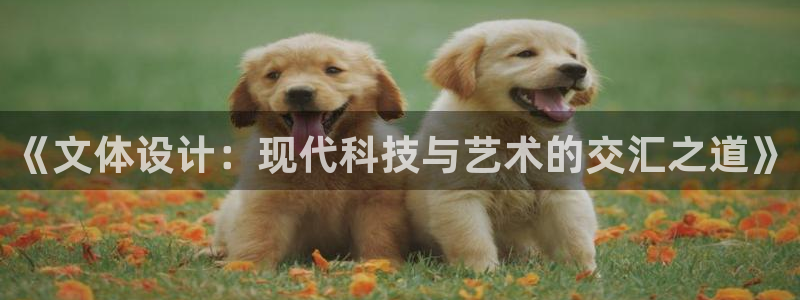 《文体设计：现代科技与艺术的交汇之道》