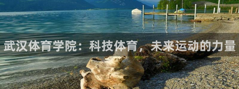 武汉体育学院：科技体育，未来运动的力量