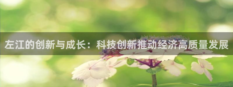 左江的创新与成长：科技创新推动经济高质量发展