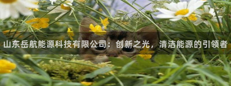 山东岳航能源科技有限公司：创新之光，清洁能源的引领者